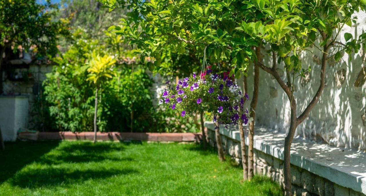 Flores Hotel Алакати Екстериор снимка