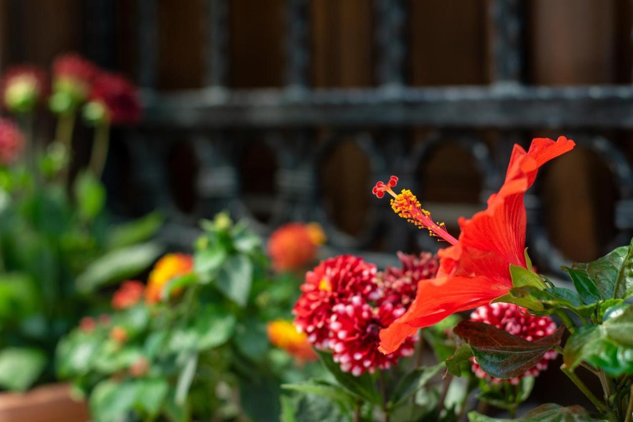 Flores Hotel Алакати Екстериор снимка